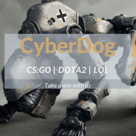 CyberDog Изображение записи