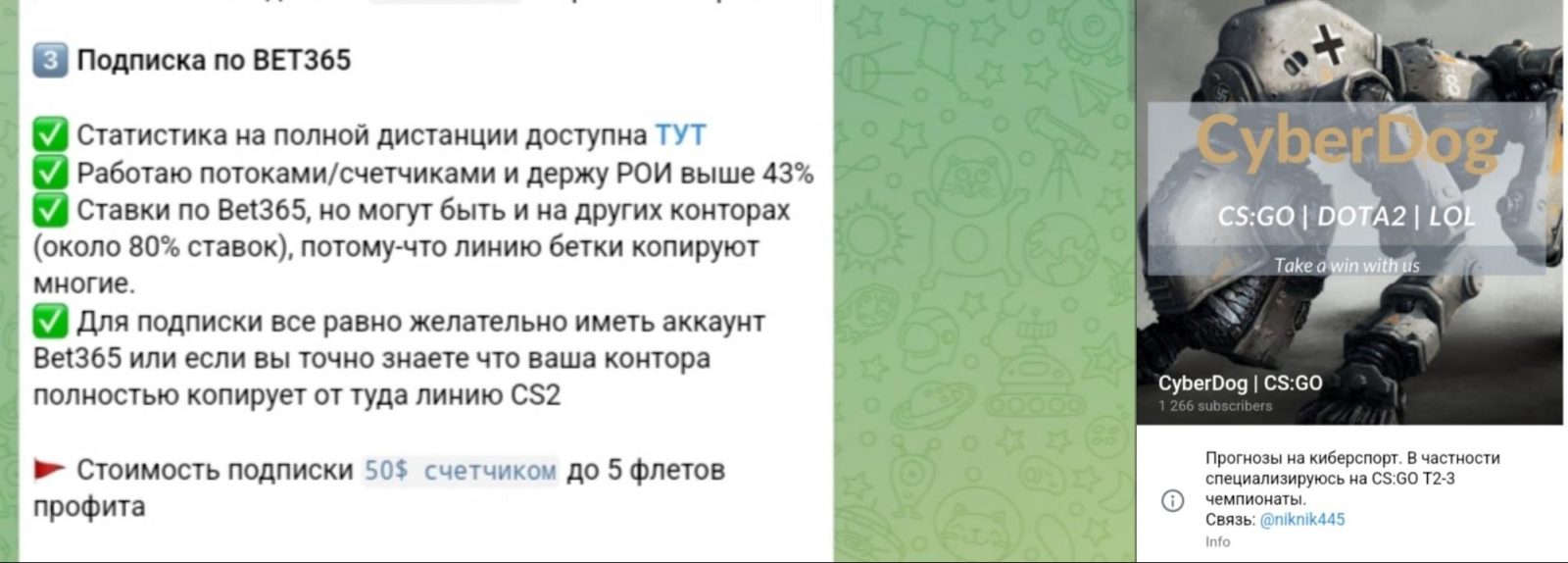 CyberDog Подписка BET 365
