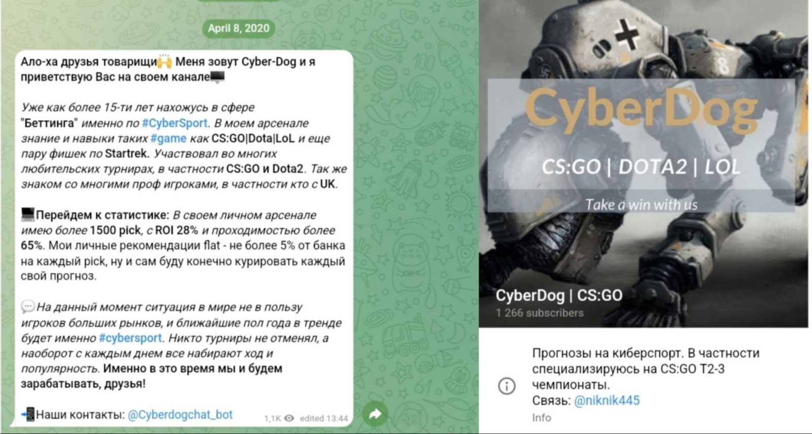 CyberDog Приветственный пост