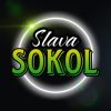 SLAVA SOKOL Авторские прогнозы Изображение записи