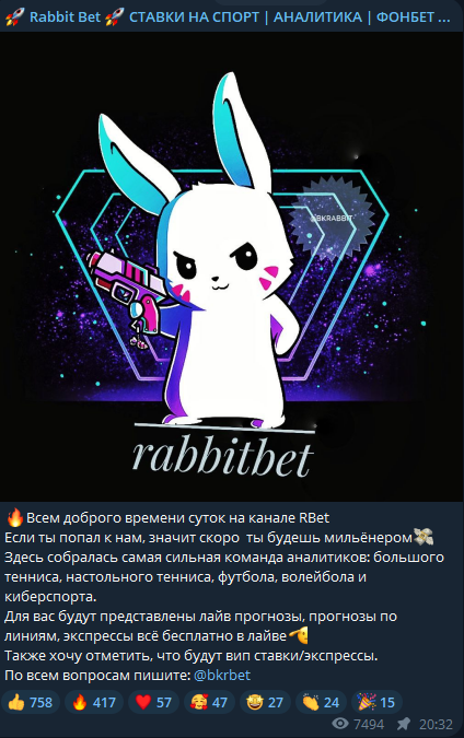 Обзор ТГ-канала Rabbit Bet