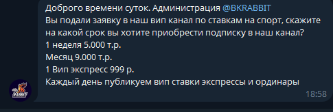 Rabbit Bet цены