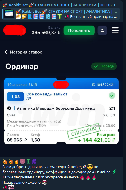 Статистика проекта Rabbit Bet
