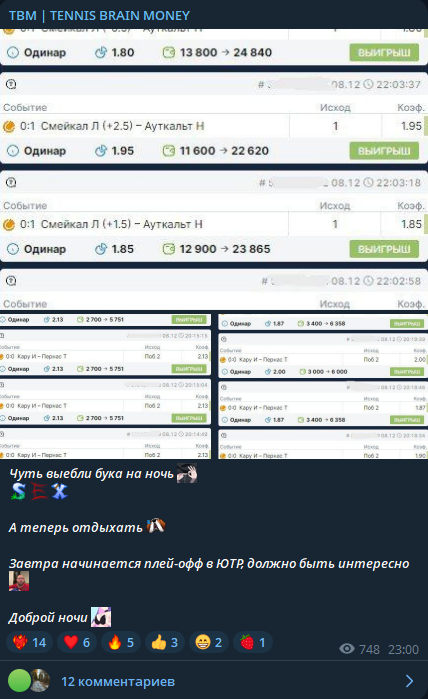 TBM TENNIS BRAIN MONEY статистика
