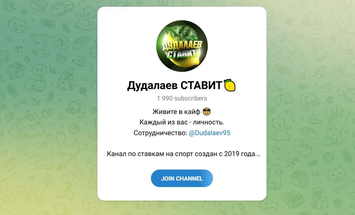 ТГ-канал Дудалаев СТАВИТ