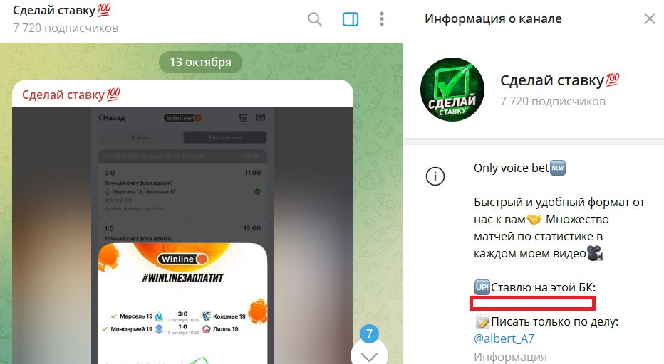 Информация о канале Сделай ставку