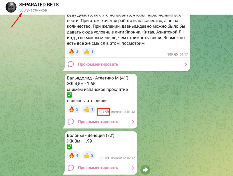 Количество подписчиков на канале Separated Bets