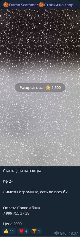 Платные услуги на канале Damn Scammer