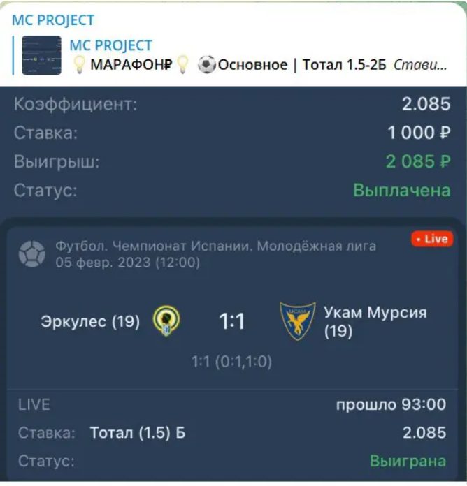 MC Project Статистика