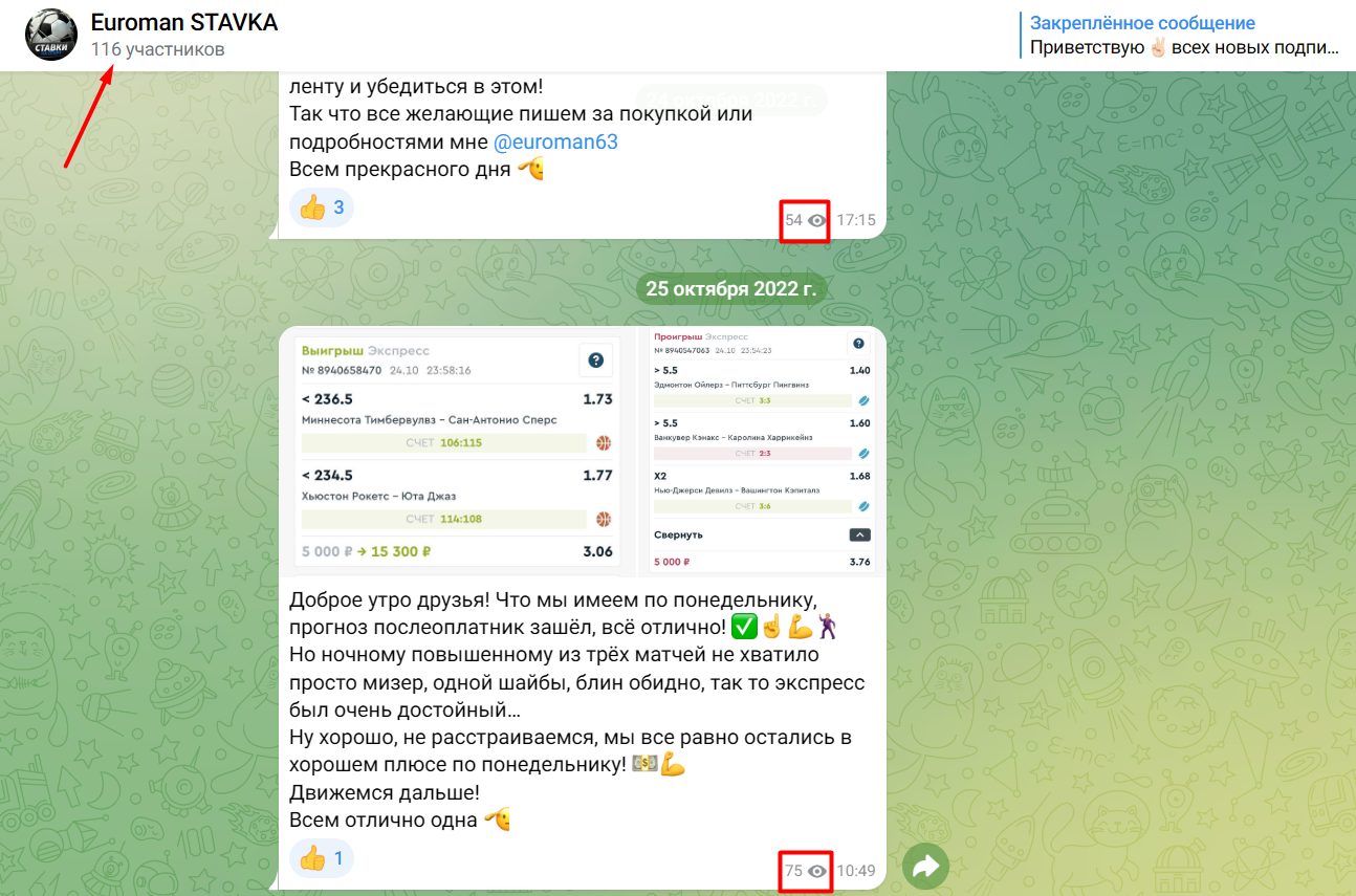 Активность подписчиков канала Euroman