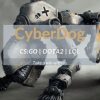 CyberDog Изображение записи