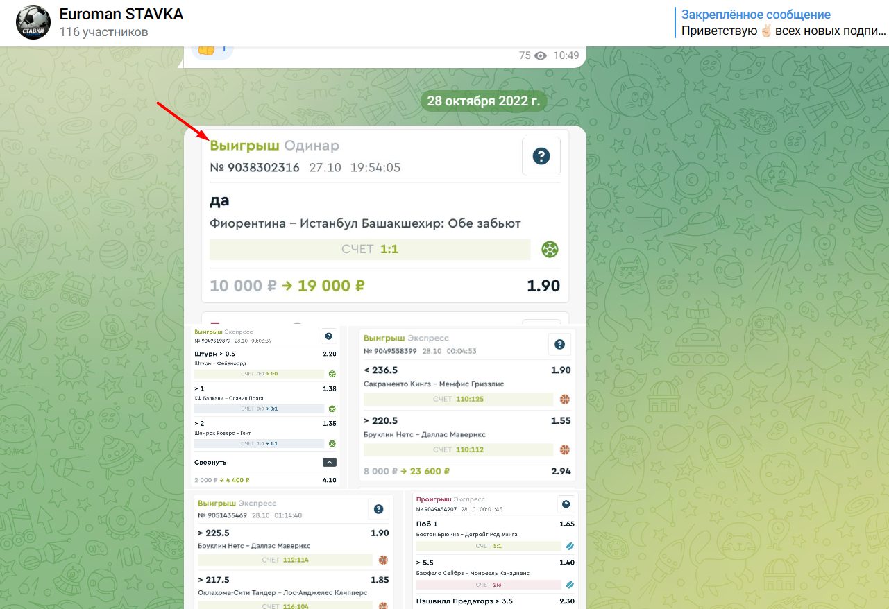 Euroman статистика проекта