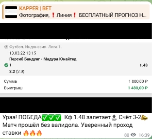 KAPPER BET статистика