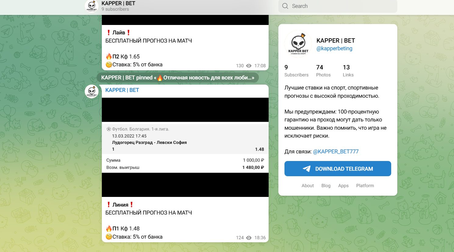 ТГ-канал KAPPER BET