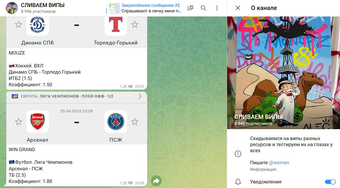 ТГ-канал СЛИВАЕМ ВИПЫ
