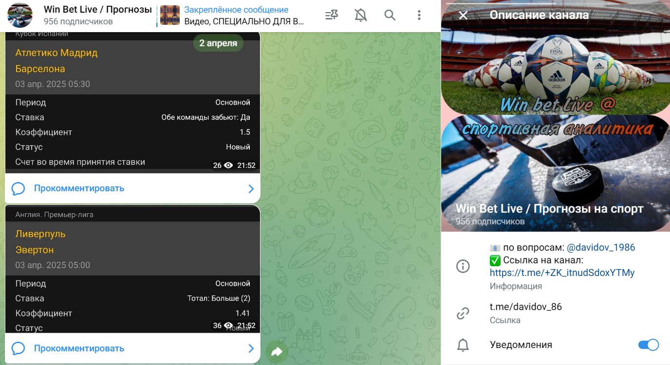 ТГ-канал Win Bet Live