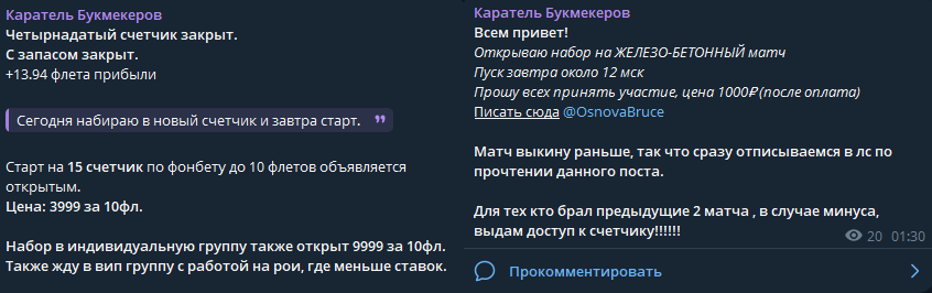 Цены проекта Каратель Букмекеров