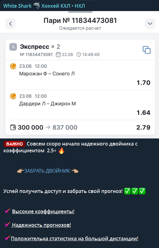 Платный экспресс