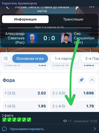 Статистика проекта Каратель Букмекеров