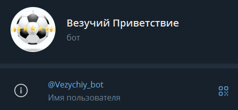 ТГ-бот