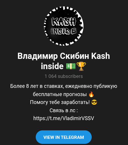 Владимир Скибин Kash inside